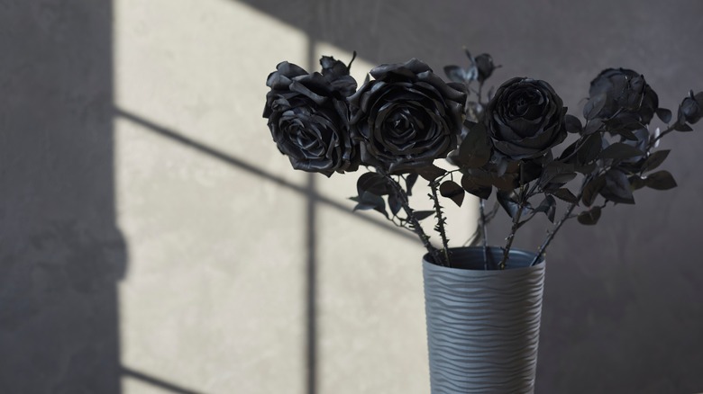 how to grow black roses - My Experience: Learning from My Own Black Rose Journey